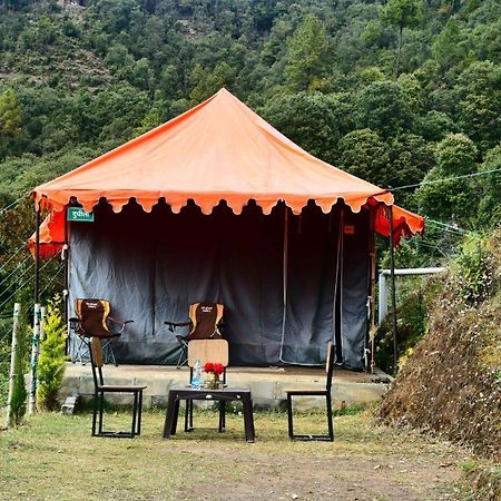 Forest Acres Camps マックトシュワー エクステリア 写真