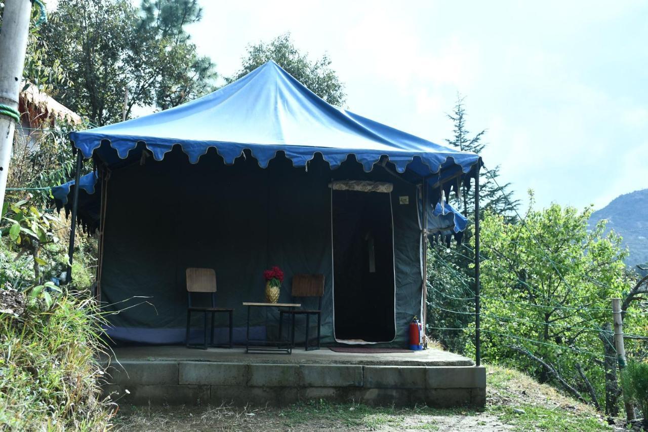 Forest Acres Camps マックトシュワー エクステリア 写真