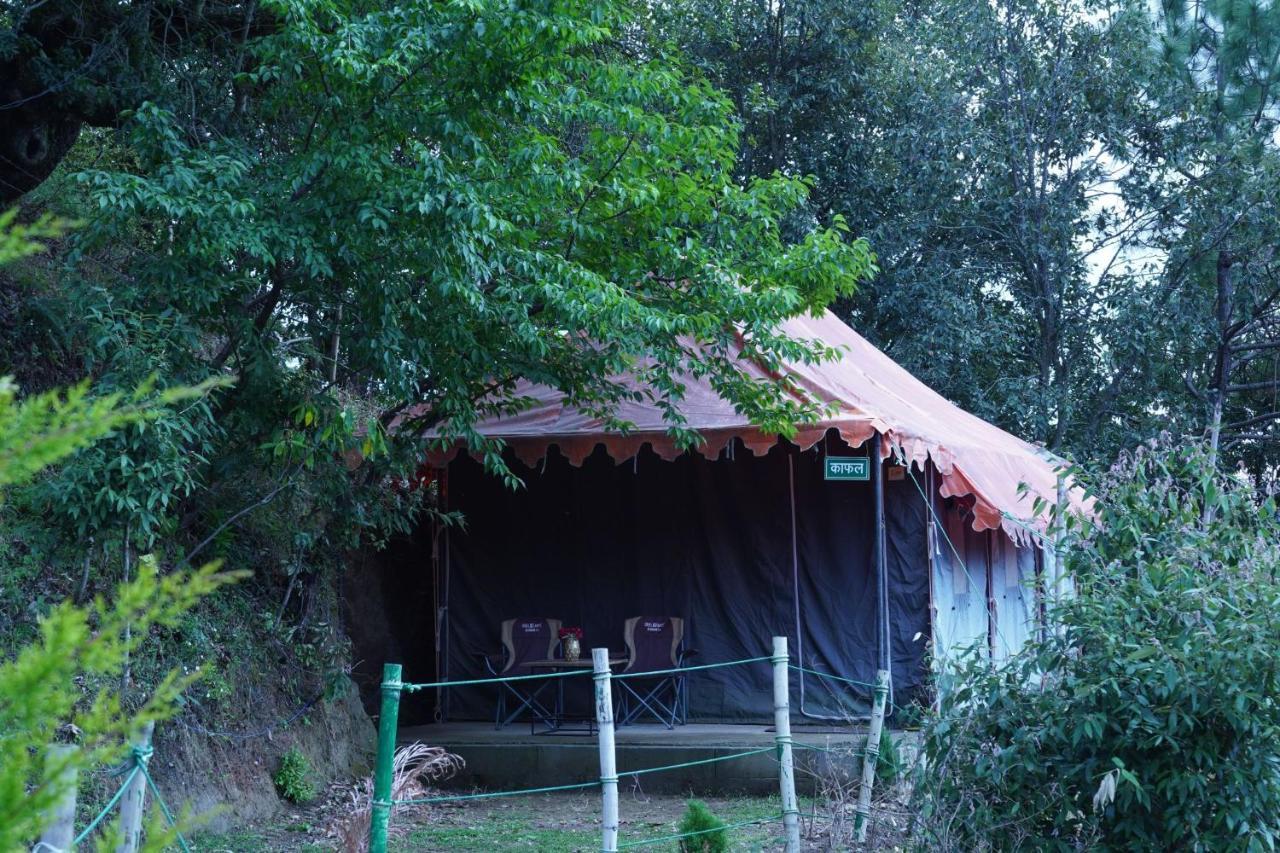 Forest Acres Camps マックトシュワー エクステリア 写真