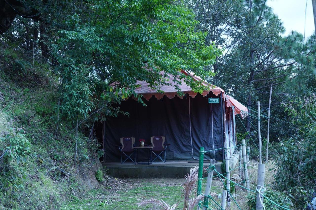 Forest Acres Camps マックトシュワー エクステリア 写真
